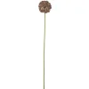 Clearance Bloomingville Allium Stiel, Braun, Künstliche Blume