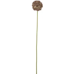 Clearance Bloomingville Allium Stiel, Braun, Künstliche Blume