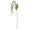 Best Bloomingville Foxtail Stiel, Grün, Künstliche Blume