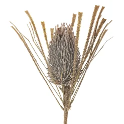 New Bloomingville Palmflower Stiel, Künstliche Blume