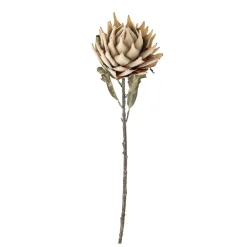 Online Bloomingville Protea Stiel, Künstliche Blume