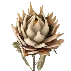 Online Bloomingville Protea Stiel, Künstliche Blume