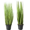 Online Boltze Kunst Topfpflanze Gras