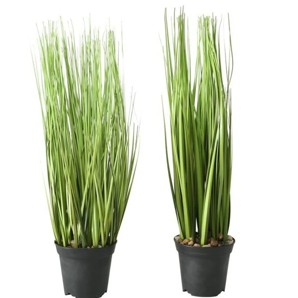 Online Boltze Kunst Topfpflanze Gras