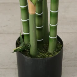 Best Boltze Kunstpalme 165 cm