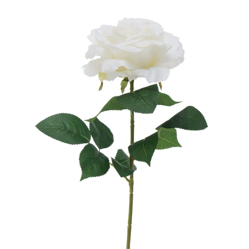 Sale Boltze Stielkunstblume Rose