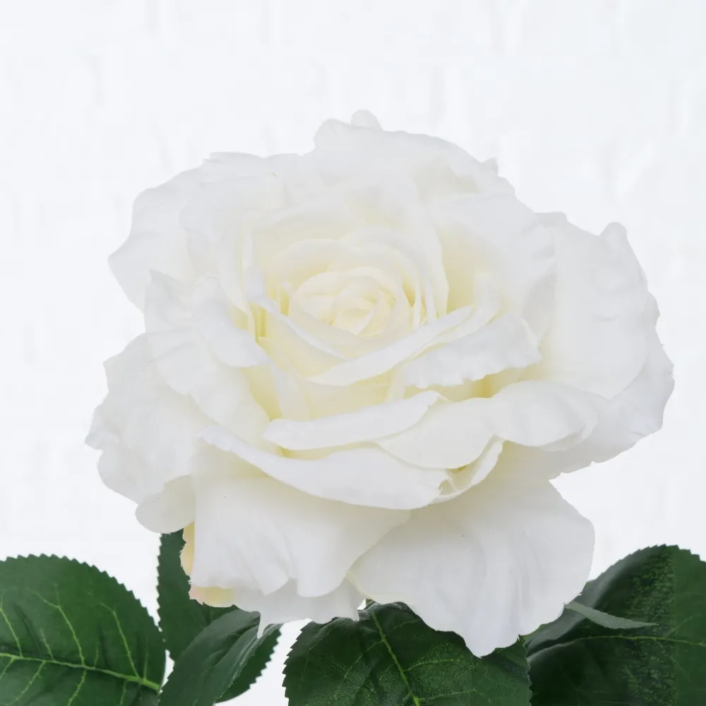Sale Boltze Stielkunstblume Rose