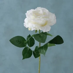 Sale Boltze Stielkunstblume Rose