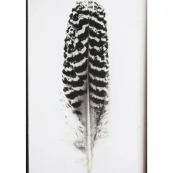 Outlet Chic Antique Bild mit Federnmotiv und schwarzem Rahmen