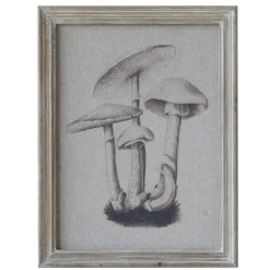Online Chic Antique Bild mit Pilzmotiv und Naturrahmen