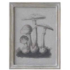 Online Chic Antique Bild mit Pilzmotiv und Naturrahmen