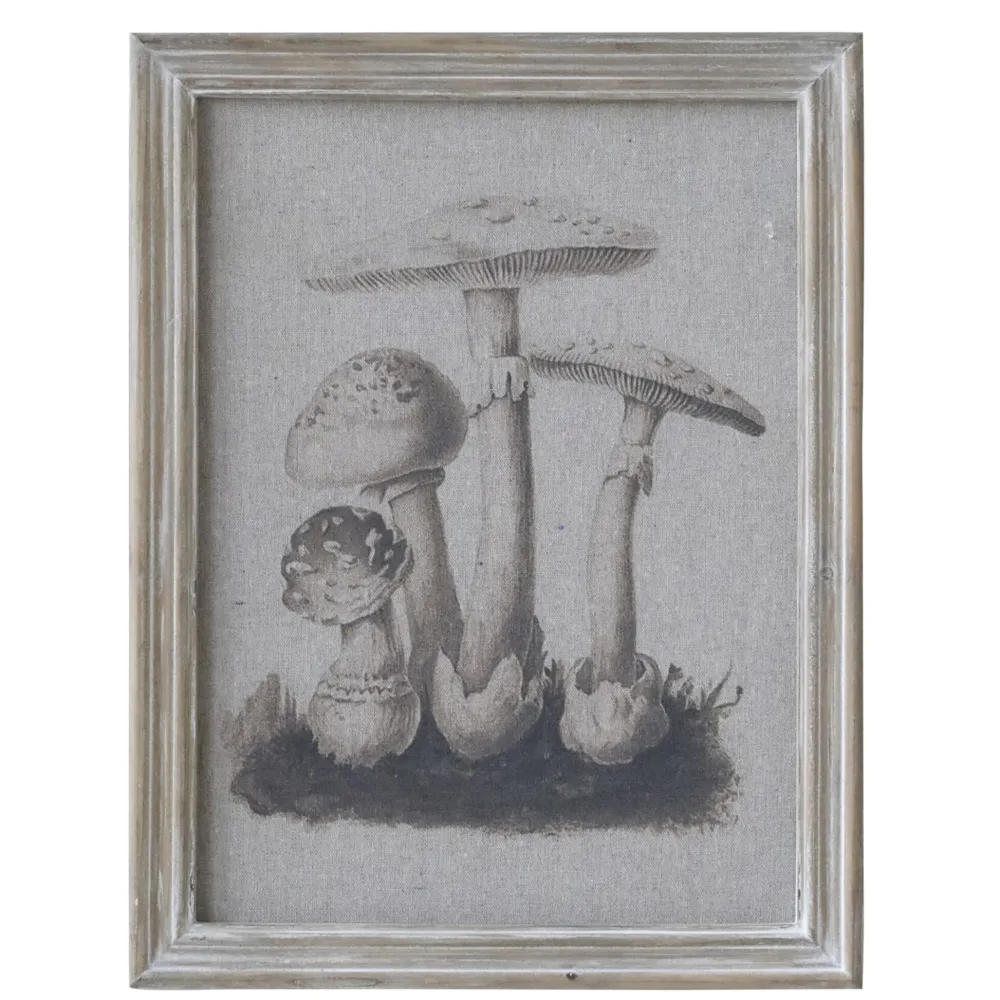 Online Chic Antique Bild mit Pilzmotiv und Naturrahmen