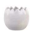 Discount Chic Antique Blumentopf Eierschale