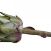 Clearance Chic Antique Fleur Artischocke