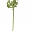 Online Chic Antique Fleur Butterblume melone