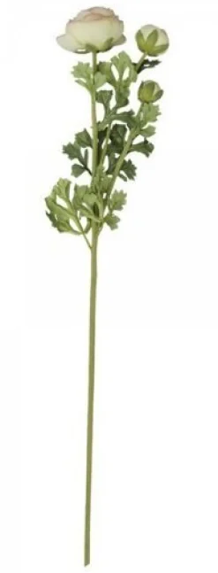 Online Chic Antique Fleur Butterblume melone