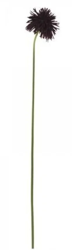 Hot Chic Antique Fleur Dahlie bordeaux