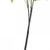 Discount Chic Antique Fleur Echter Schneeball lime
