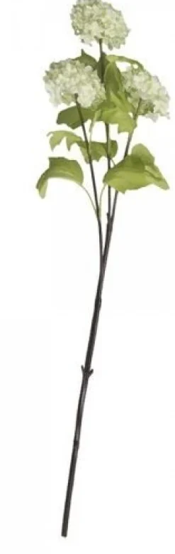 Discount Chic Antique Fleur Echter Schneeball lime