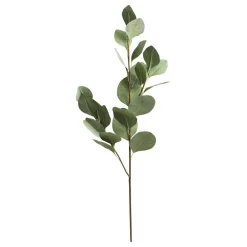 Sale Chic Antique Fleur Eukalyptus Ast