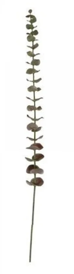 Sale Chic Antique Fleur Eukalyptusblätter