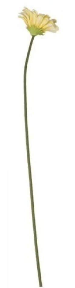 Hot Chic Antique Fleur Gerbera