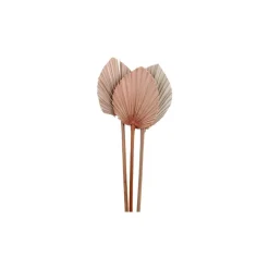 Clearance Chic Antique Fleur getrocknetes Palmenblatt