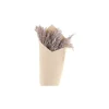 Discount Chic Antique Fleur getrocknetes Pampagras Schilf