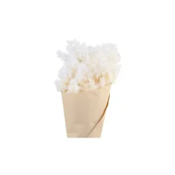 Chic Antique Fleur getrocknete Schleierspargel