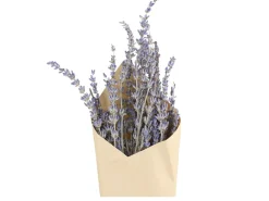 New Chic Antique Fleur getrocknete Lavendel Blumen