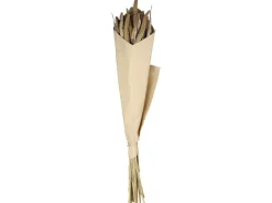 Clearance Chic Antique Fleur getrocknete Seterea Blumen