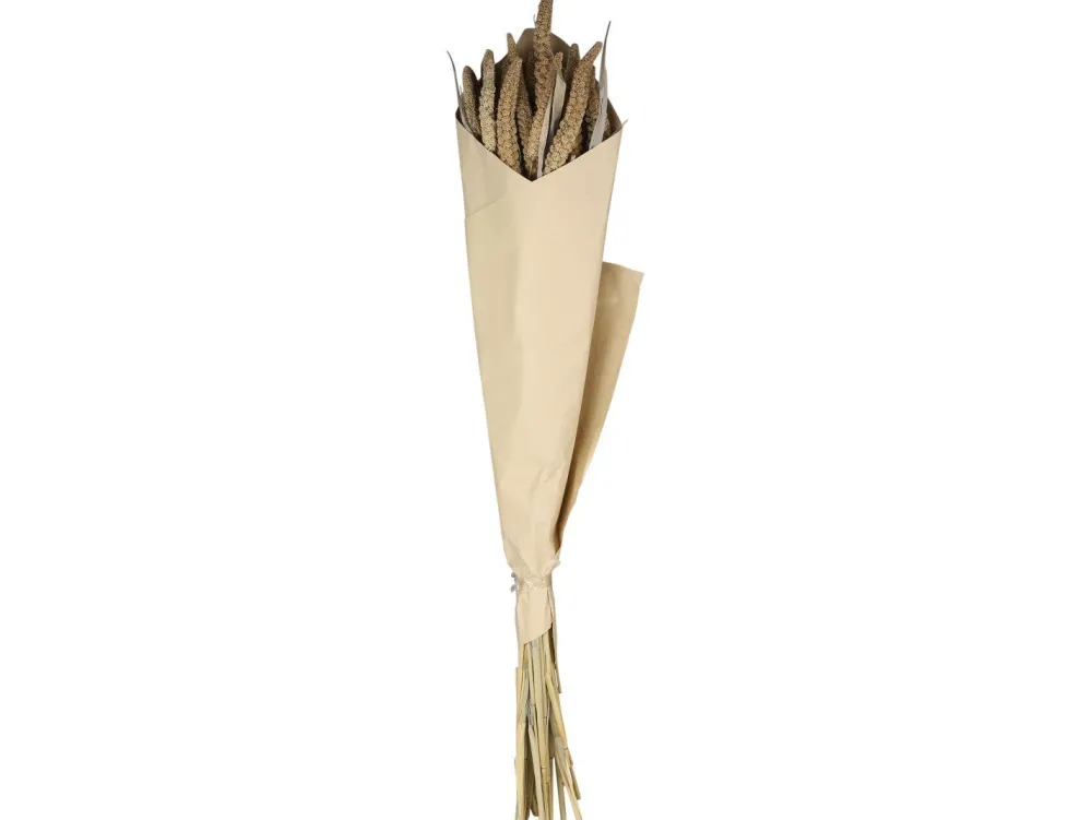 Clearance Chic Antique Fleur getrocknete Seterea Blumen