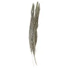 Clearance Chic Antique Fleur getrocknetes Gras