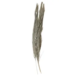 Clearance Chic Antique Fleur getrocknetes Gras