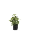 Hot Chic Antique Fleur künstliche Minze
