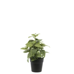 Hot Chic Antique Fleur künstliche Minze