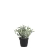 New Chic Antique Fleur künstliche Pflanze Jojoba