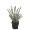 Sale Chic Antique Fleur künstlicher Rosmarin Topf