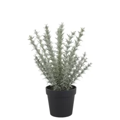 Sale Chic Antique Fleur künstlicher Rosmarin Topf