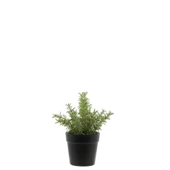 Sale Chic Antique Fleur künstlicher Rosmarin Topf
