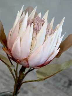 Outlet Chic Antique Fleur Kunstblume Protea