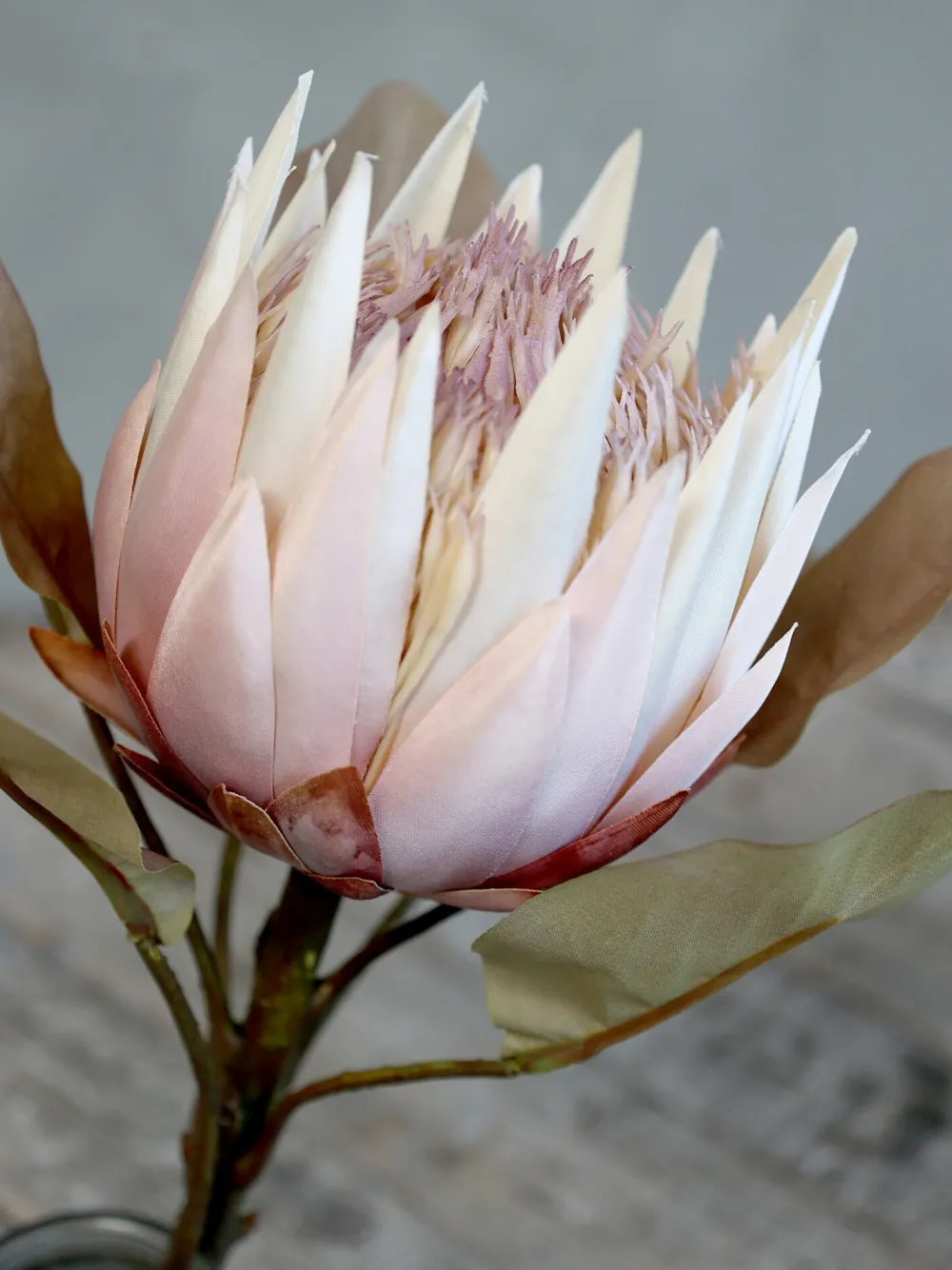 Outlet Chic Antique Fleur Kunstblume Protea