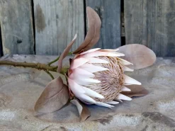Outlet Chic Antique Fleur Kunstblume Protea