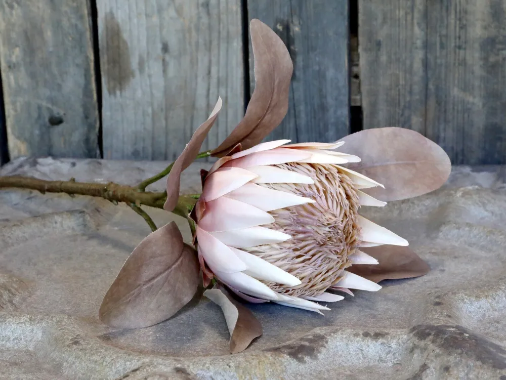 Outlet Chic Antique Fleur Kunstblume Protea