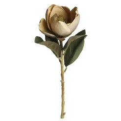 Discount Chic Antique Fleur Magnolia