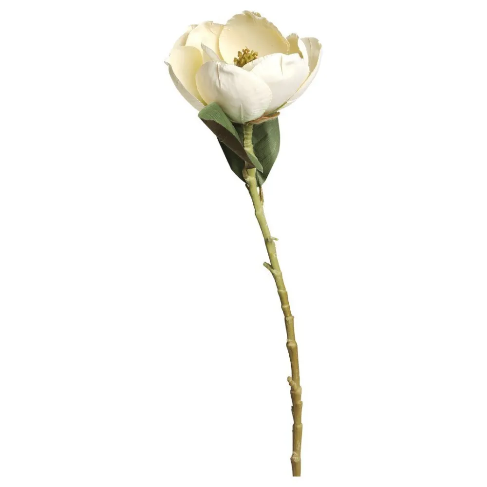 Discount Chic Antique Fleur Magnolia