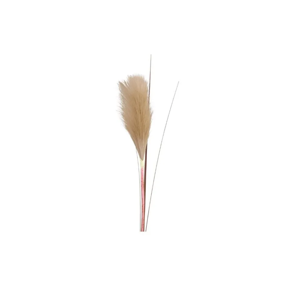 Clearance Chic Antique Fleur Pampasgras Wedel