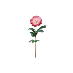 Outlet Chic Antique Fleur Pfingstrose