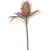 Outlet Chic Antique Fleur Protea Blume