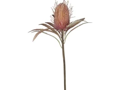 Outlet Chic Antique Fleur Protea Blume